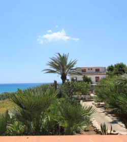Il Canneto Di Selinunte